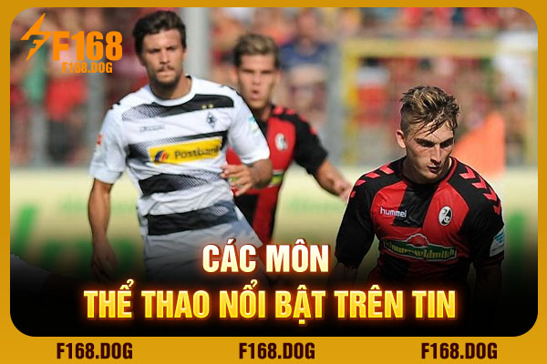 Các môn thể thao nổi bật trên tin