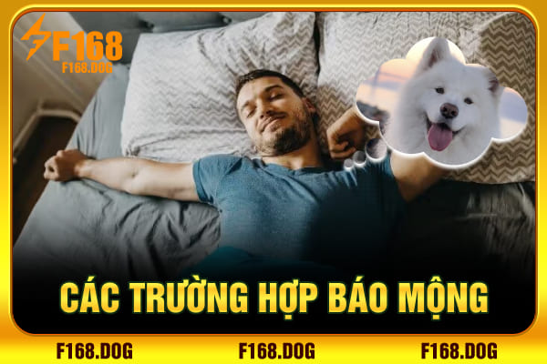 Các trường hợp báo mộng