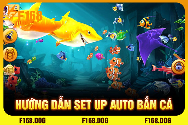 Hướng dẫn set up auto bắn cá