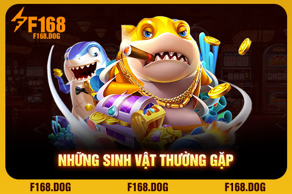 Những sinh vật thường gặp