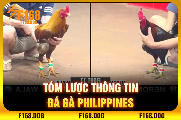 Tóm lược thông tin đá gà Philippines
